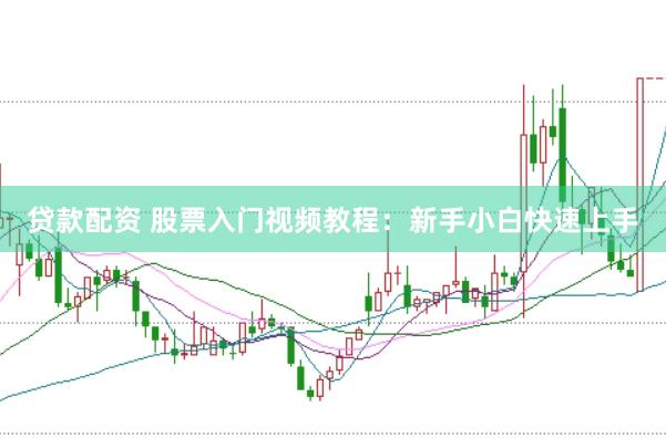 贷款配资 股票入门视频教程：新手小白快速上手