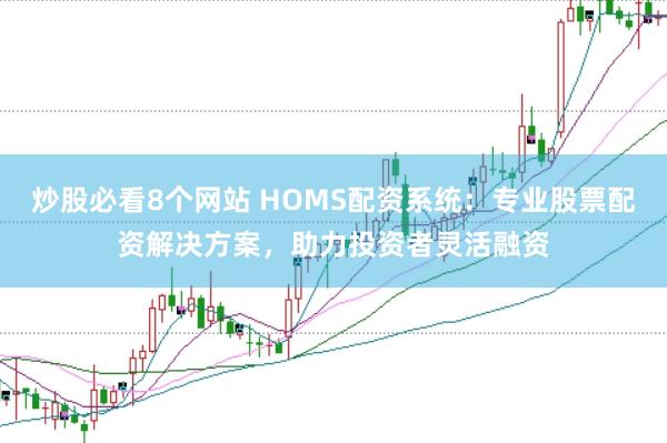 炒股必看8个网站 HOMS配资系统:专业股票配资解决方案,助力投资者灵活融资