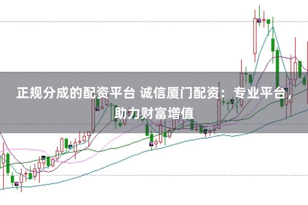 正规分成的配资平台 诚信厦门配资:专业平台,助力财富增值